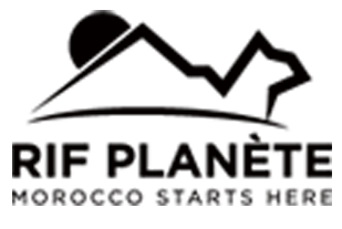 Mobile Logo